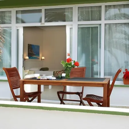 Palm Hotel 3*