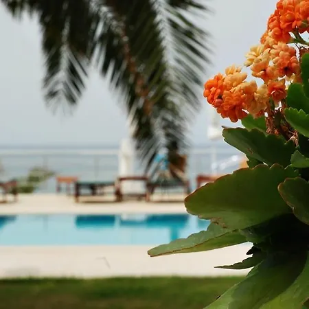 Palm Hotel 3*